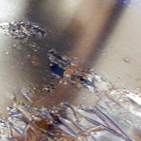 image: unlabelled image