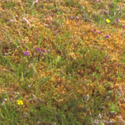 image: unlabelled image