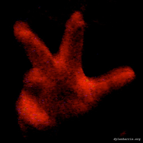 image: unlabelled image