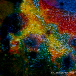 image: unlabelled image