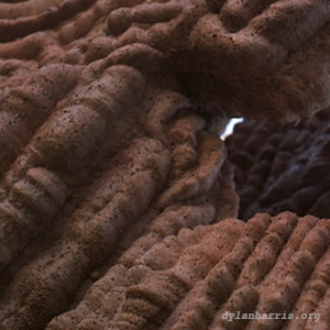 image: unlabelled image