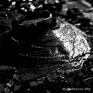 image: unlabelled image