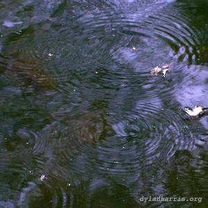 image: unlabelled image