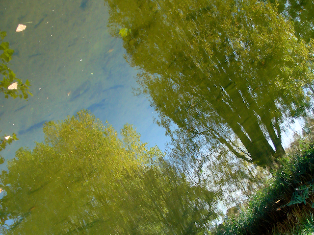 image: unlabelled image