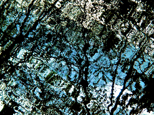 image: unlabelled image