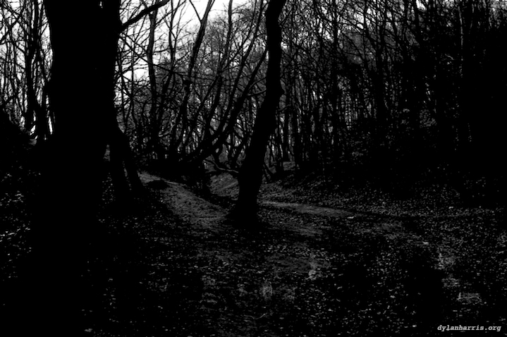 image: unlabelled image