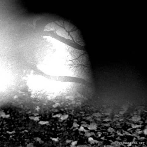 image: unlabelled image