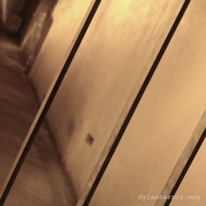 image: unlabelled image