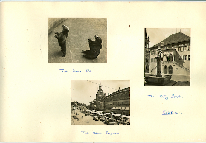 image: unlabelled image