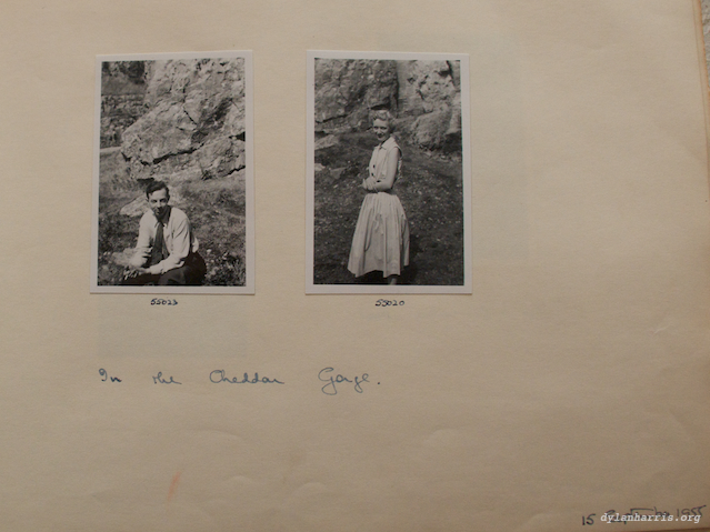 image: unlabelled image