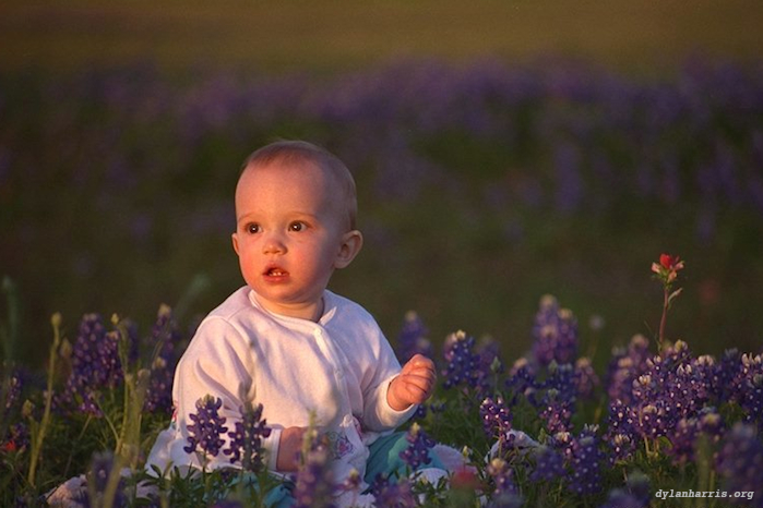 image: unlabelled image