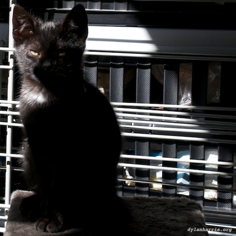 image: unlabelled image