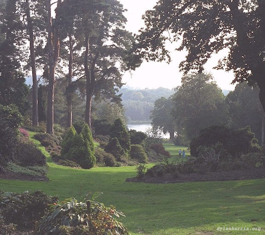 image: unlabelled image