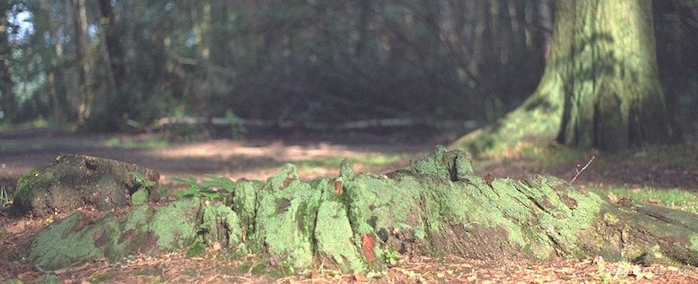 image: unlabelled image