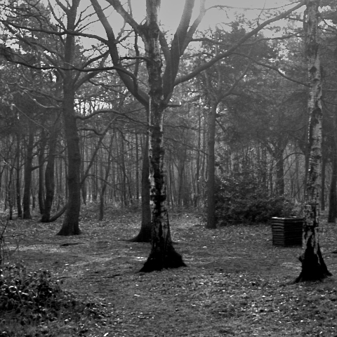 image: unlabelled image