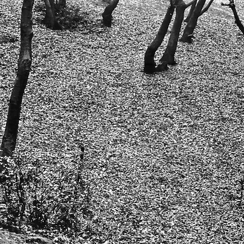 image: unlabelled image