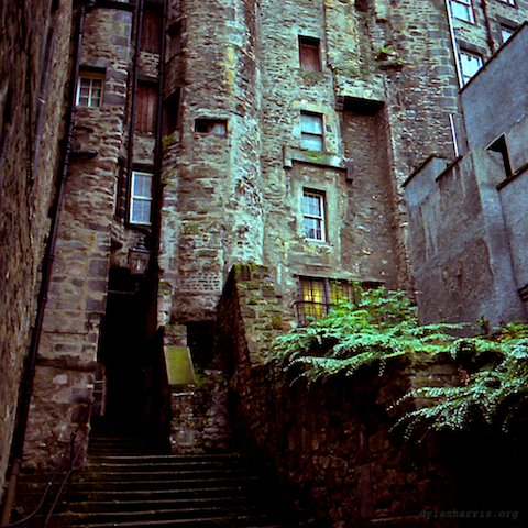 image: unlabelled image