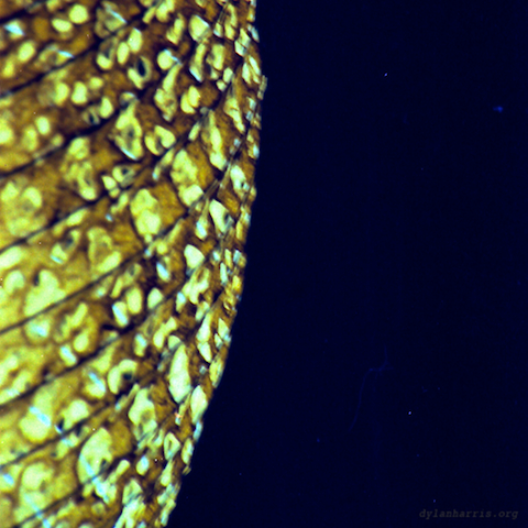 image: unlabelled image