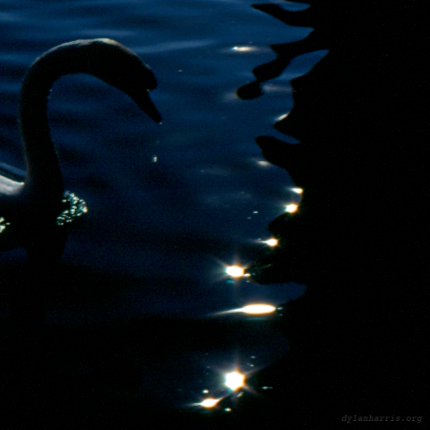 image: unlabelled image