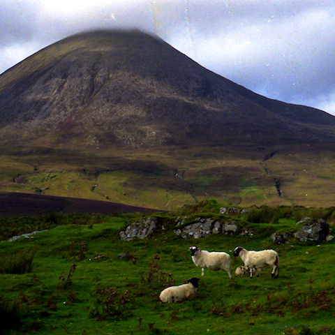 image: unlabelled image