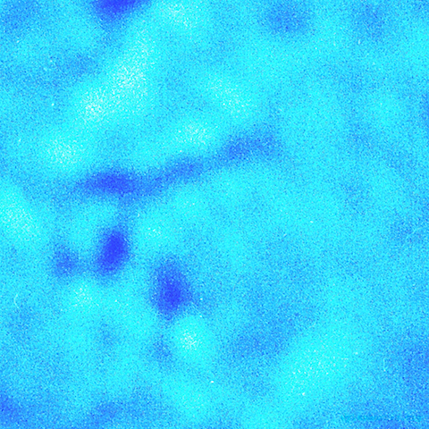 image: unlabelled image