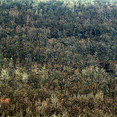 image: unlabelled image