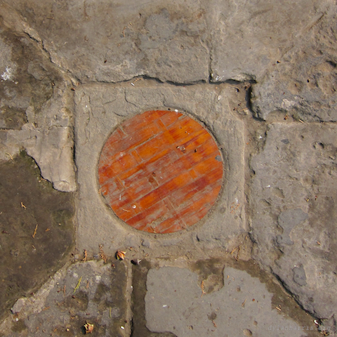 image: unlabelled image