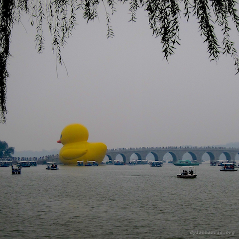 image: unlabelled image