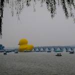 image: unlabelled image