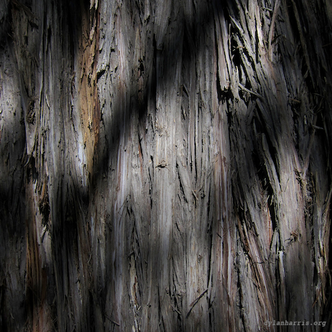 image: unlabelled image