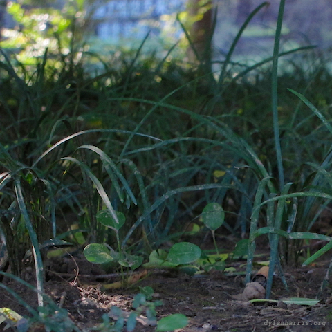 image: unlabelled image