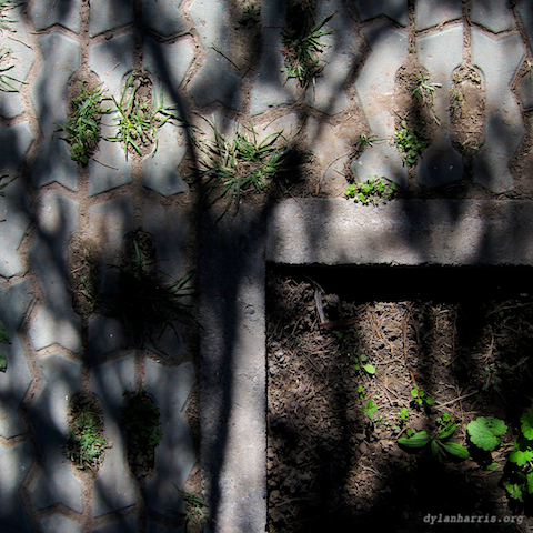 image: unlabelled image