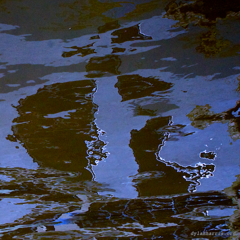 image: unlabelled image