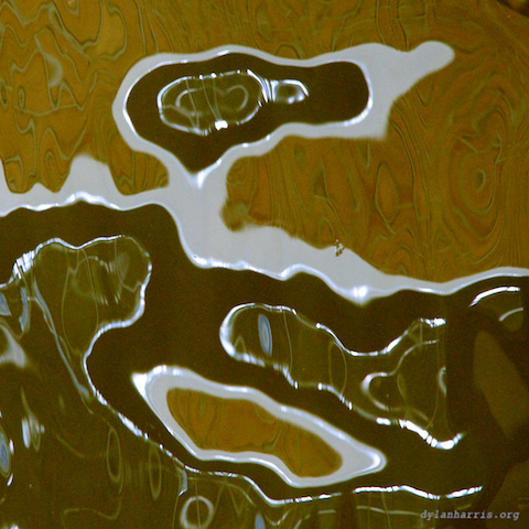 image: unlabelled image