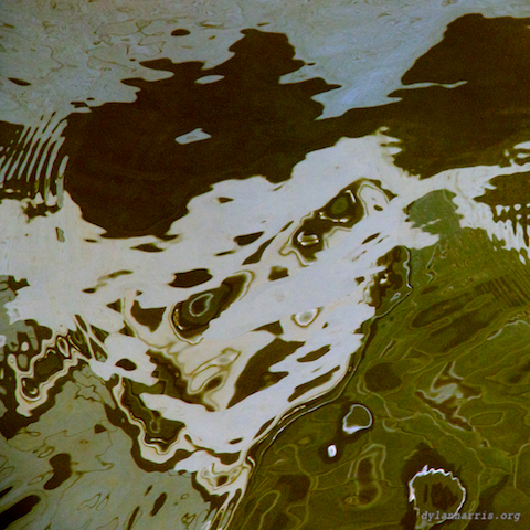 image: unlabelled image