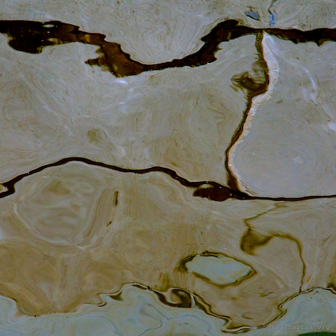 image: unlabelled image