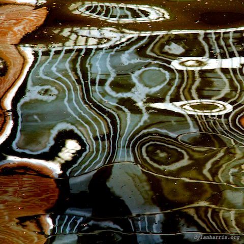 image: unlabelled image