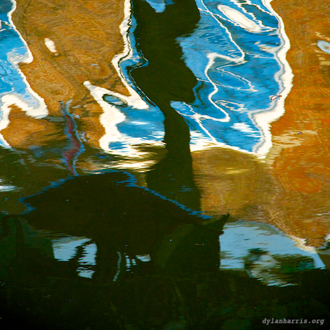 image: unlabelled image