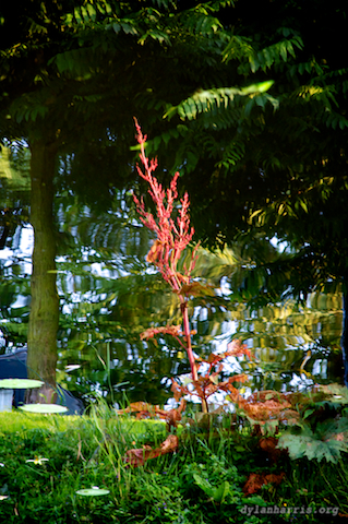 image: unlabelled image