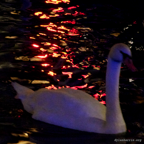 image: unlabelled image