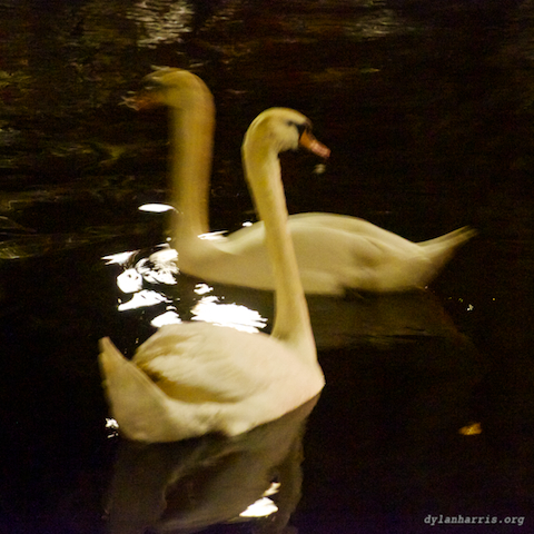 image: unlabelled image