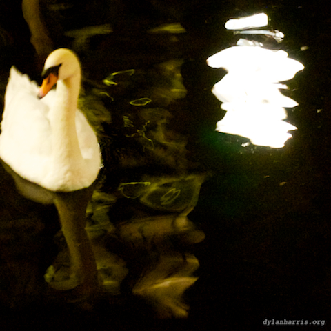 image: unlabelled image