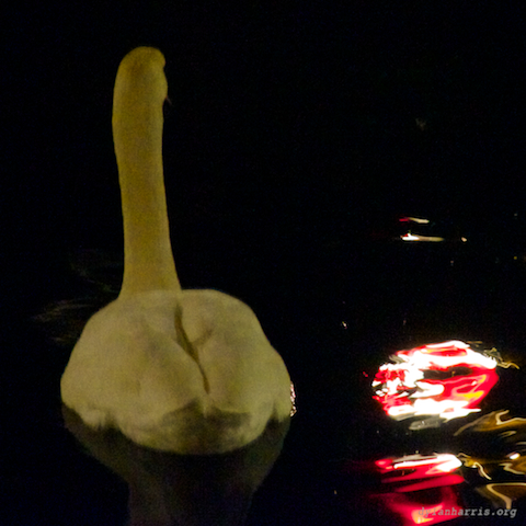 image: unlabelled image