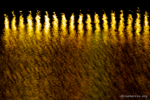 image: unlabelled image