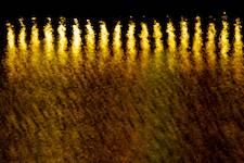 image: unlabelled image