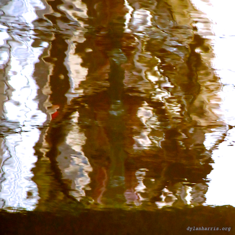 image: unlabelled image