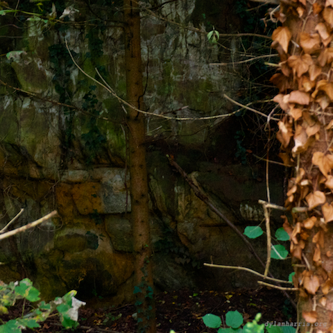 image: unlabelled image