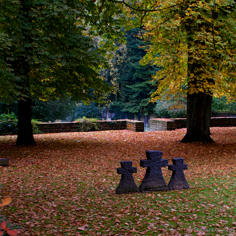 image: unlabelled image