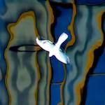 image: unlabelled image