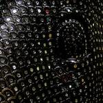 image: unlabelled image